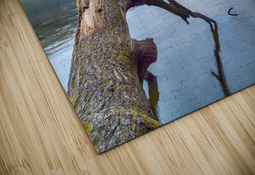 Loch Serenity Assaf Frank puzzle