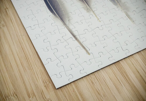 Subtle Harmony Assaf Frank puzzle