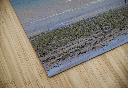 Dog Walking at Seaside Assaf Frank puzzle