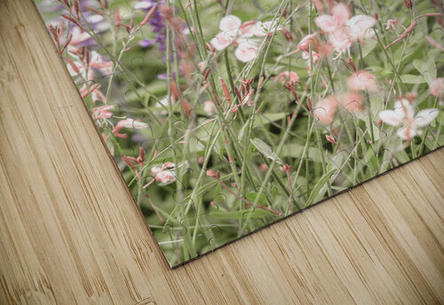 Soft and delicate Assaf Frank puzzle
