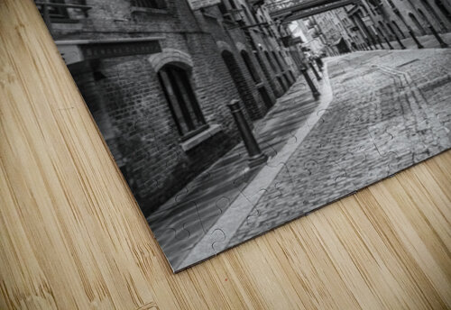 Cobbled Street Assaf Frank puzzle