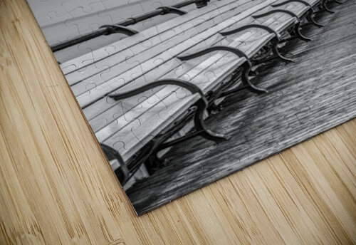 Jetty Journeys Assaf Frank puzzle
