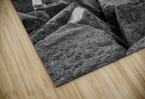 Monochrome Pier Escape Assaf Frank puzzle