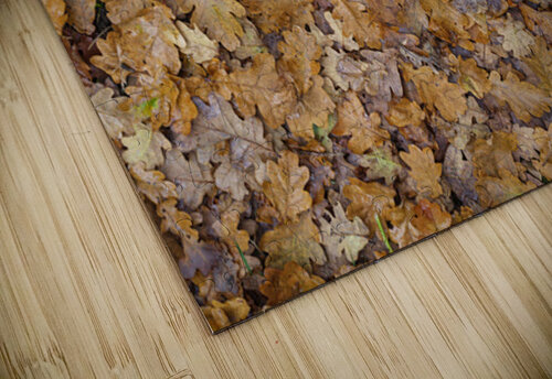Golden Leaf Carpet Assaf Frank puzzle