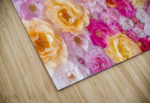 Blooming Beauties Assaf Frank puzzle