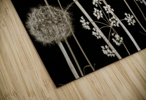 Meadow flowers Assaf Frank puzzle