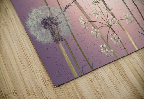 Meadow flowers Assaf Frank puzzle