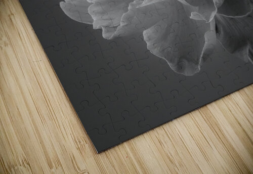 Peony flower Assaf Frank puzzle