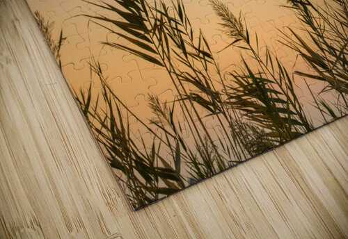 Reeds Assaf Frank puzzle