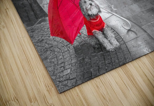 Dog with umbrella on London city street Assaf Frank puzzle