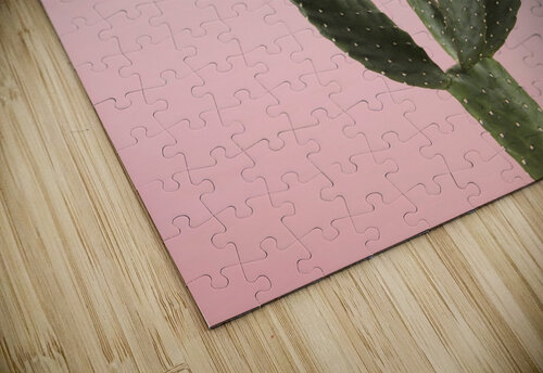 Cactus plant Assaf Frank puzzle