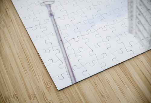 Magnolia flowers Assaf Frank puzzle