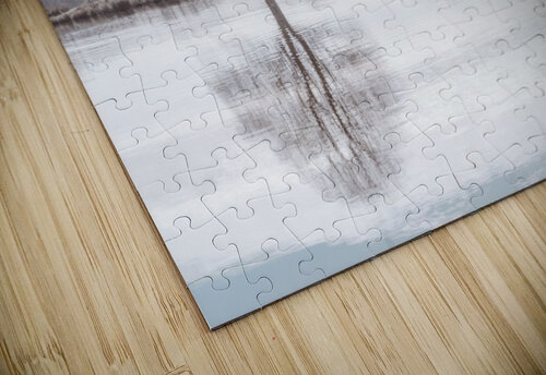 Reflection of a tree Assaf Frank puzzle