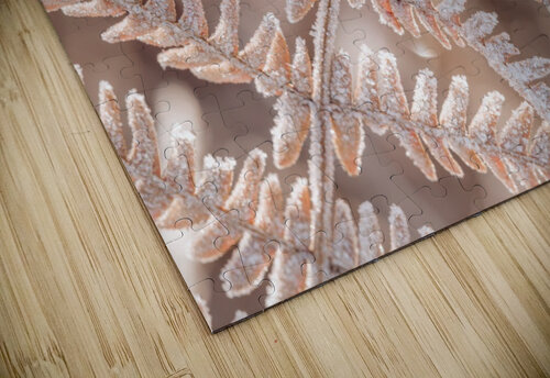 Frost on plant Assaf Frank puzzle
