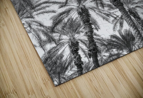 Palm Trees Assaf Frank puzzle