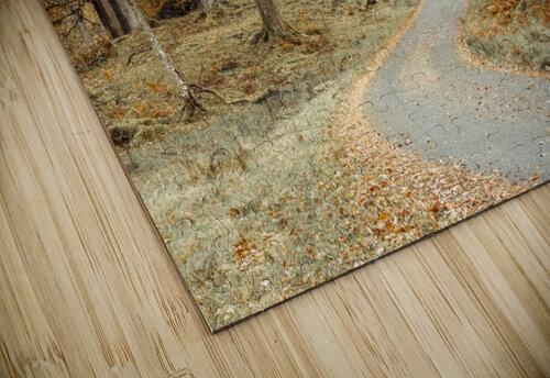 Road through forest Assaf Frank puzzle