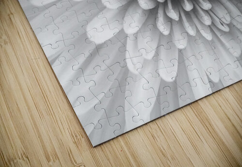 Chrysanthemum flower Assaf Frank puzzle
