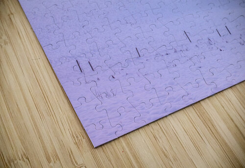 Winter Landsacpe Assaf Frank puzzle