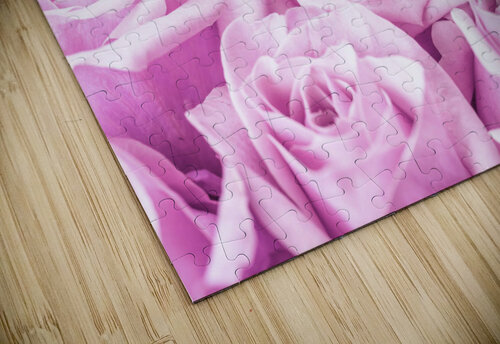 Rose Bunch Assaf Frank puzzle