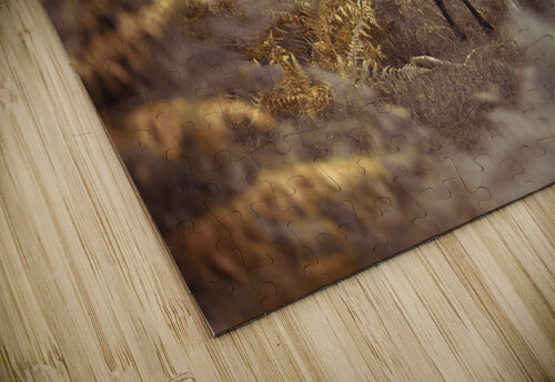 Wild Horse Assaf Frank puzzle
