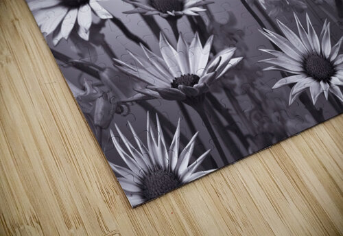 Meadow Flowers Assaf Frank puzzle
