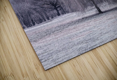 Frosty Tree Assaf Frank puzzle