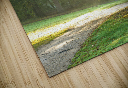 Autumn tree Assaf Frank puzzle