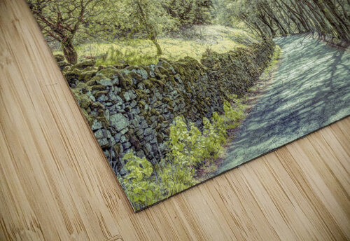 Road Through Trees Assaf Frank puzzle