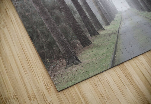 Road Through Trees Assaf Frank puzzle