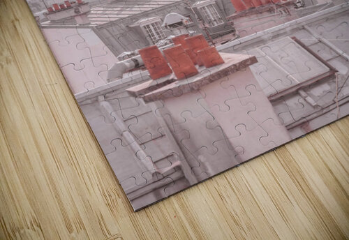 Paris Rooftops Assaf Frank puzzle