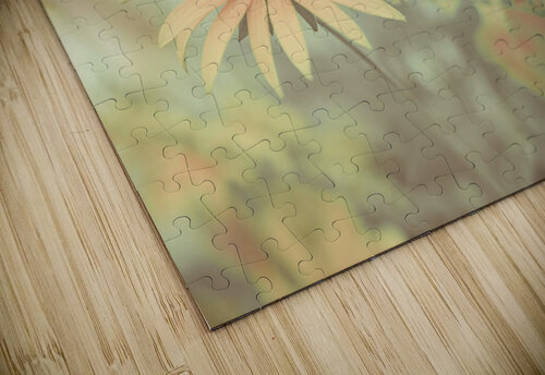 Cone flowers Assaf Frank puzzle