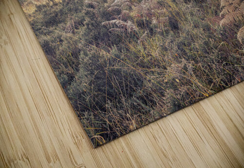 Forest Trees and Foliage Assaf Frank puzzle