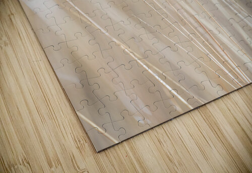 Reeds Assaf Frank puzzle
