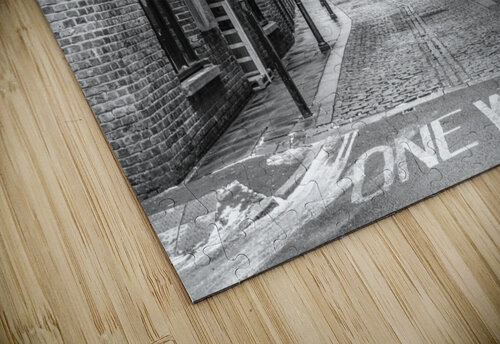 Cobbled Street Assaf Frank puzzle