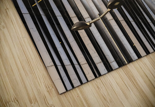 Building Exterior Assaf Frank puzzle