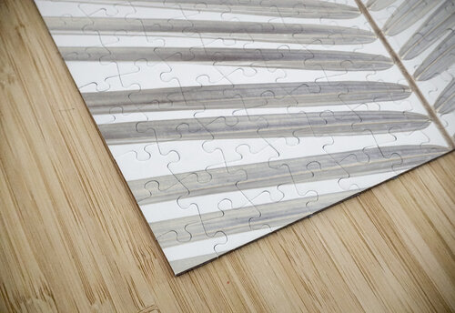 Palm Leaf Assaf Frank puzzle