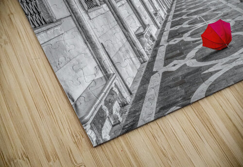 Doges Palace Assaf Frank puzzle