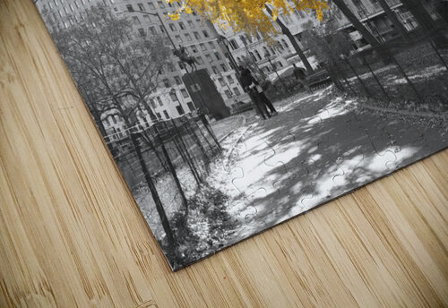 Park Pretty Assaf Frank puzzle