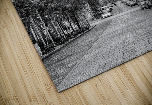 Manhattan Bridge from Dumbo Assaf Frank puzzle
