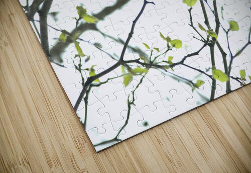 Twigs Assaf Frank puzzle