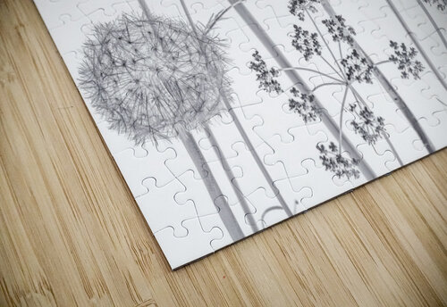 Meadow Flowers Assaf Frank puzzle