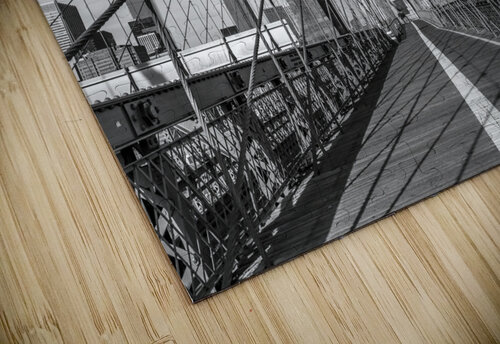Brooklny Suspension Assaf Frank puzzle