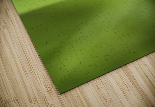 Ladybug  Assaf Frank puzzle