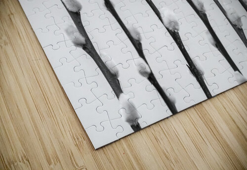 Pussy Willow Assaf Frank puzzle