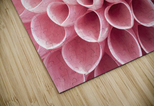Intricate Petals Assaf Frank puzzle
