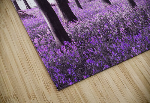 Fairytale Forest Assaf Frank puzzle
