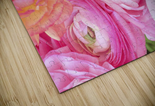 Pastel Ranunculus Assaf Frank puzzle