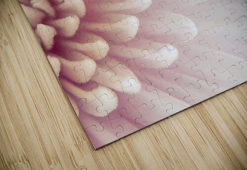Chrysanthemum Petals Assaf Frank puzzle