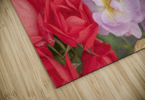 Blissful Blooms Assaf Frank puzzle