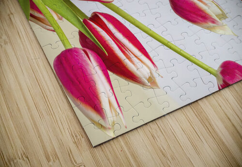 Red Tulips Assaf Frank puzzle
